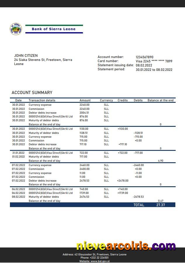 Sierra Leone Bank of Sierra Leone bank statement